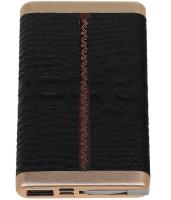 Power Bank D810 met ingebouwd iPhone kabel 10000mAh