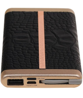 Power Bank D810 met ingebouwd iPhone kabel 10000mAh