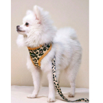 Warmteoverdracht afdrukken Mesh ademende borst en rugharnasset L